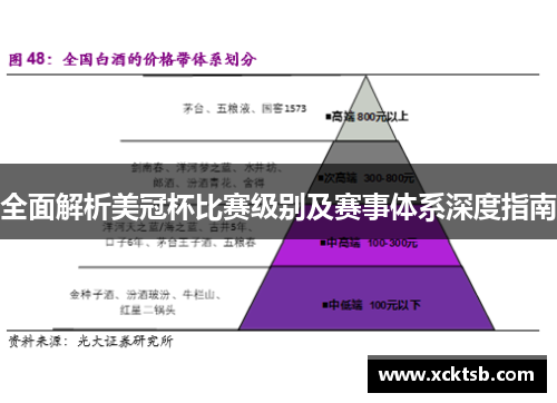 全面解析美冠杯比赛级别及赛事体系深度指南